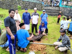 Pemotongan Hewan Qurban dari Pimpinan dan Karyawan PDAM Banggai Laut